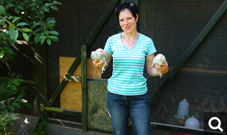 Angelika Kannegießer